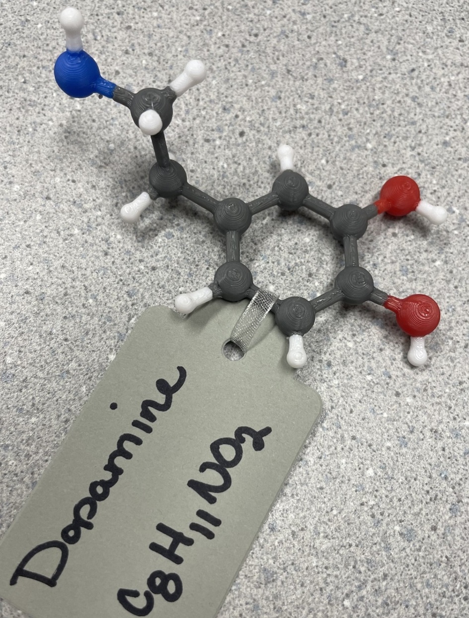 Molecular model of dopamine