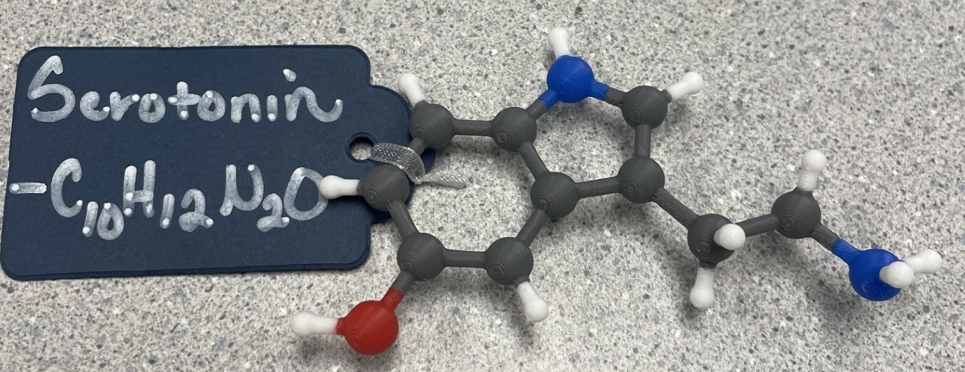 Molecular model of serotonin