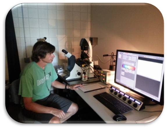 staff member reviewing computer screen