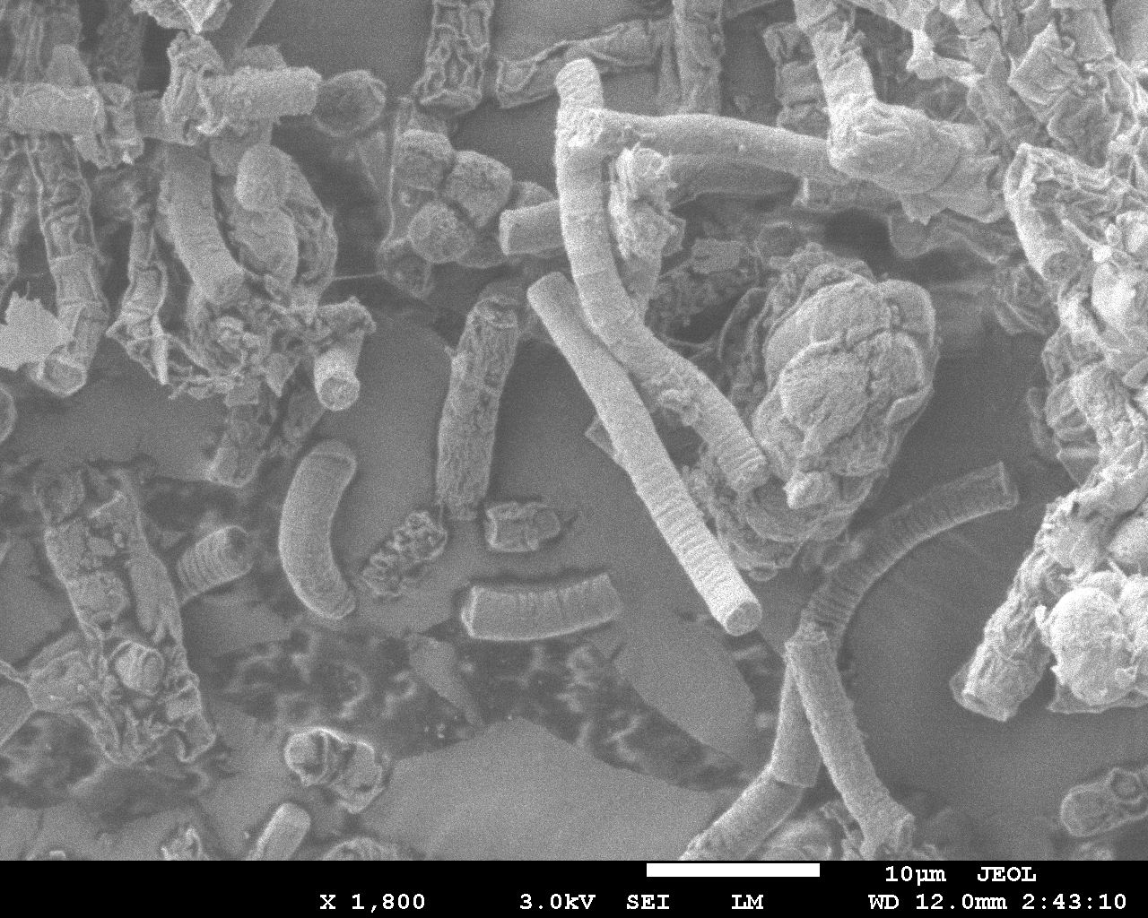 Scanning Electron Microscope Image Database