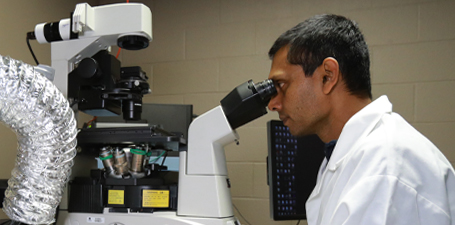 Researcher Ajith Karunarathne