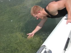 student water sampling