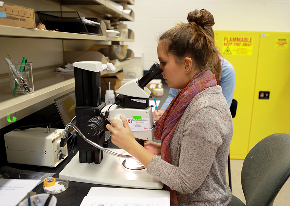 Lake Erie Center Student Research