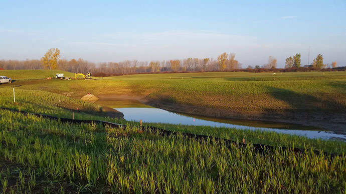 Restored Maumee Bay Wetlands