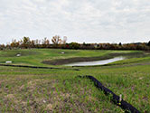 Maumee Bay Wetlands