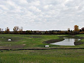 Maumee Bay Wetlands