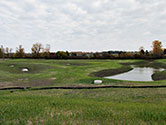 Maumee Bay Wetlands