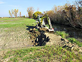 Maumee Bay Wetlands