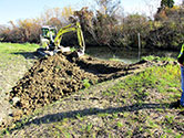 Maumee Bay Wetlands