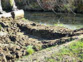 Maumee Bay Wetlands