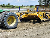 Maumee Bay Wetlands