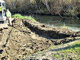 Maumee Bay Wetlands