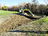 Maumee Bay Wetlands