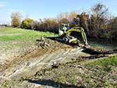 Maumee Bay Wetlands