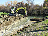 Maumee Bay Wetlands