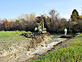 Maumee Bay Wetlands