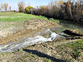 Maumee Bay Wetlands