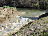 Maumee Bay Wetlands