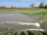 Maumee Bay Wetlands