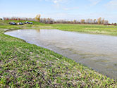 Maumee Bay Wetlands