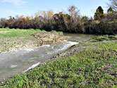 Maumee Bay Wetlands