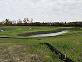 Maumee Bay Wetlands