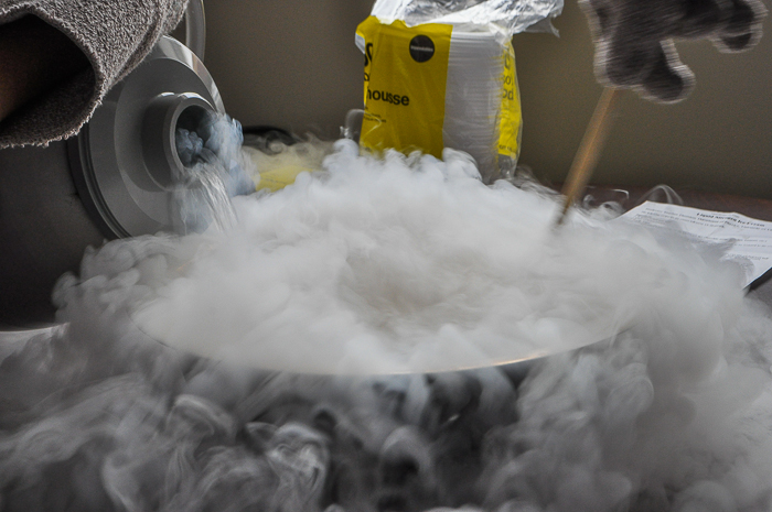 Liquid Nitrogen Ice Cream