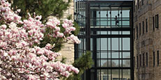 trees blooming on campus