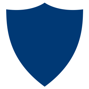 Shield icon