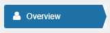 Overview Tab