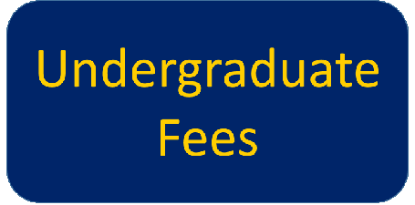 Undergraduate Fees