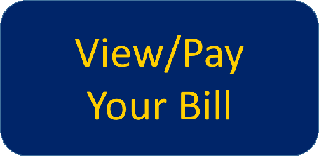 View Pay Your Bill
