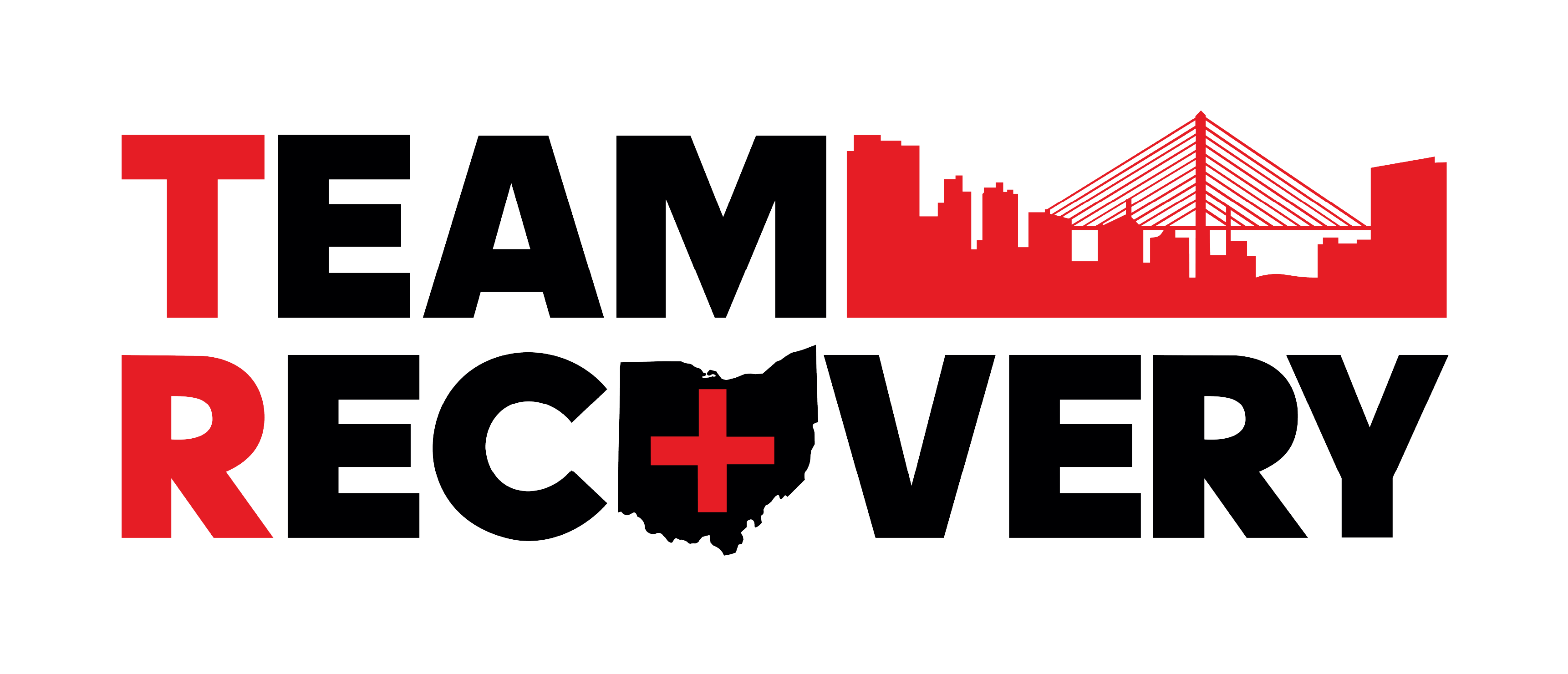 Team Recovery Logo