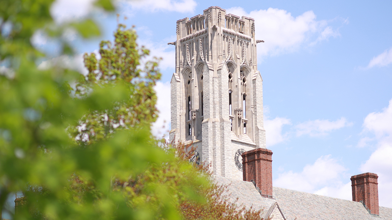 Photo of University Hall with leaves in the foreground. 