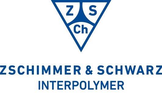 ZS employer logo