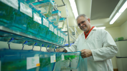 Dr. Williams in the Zebrafish lab