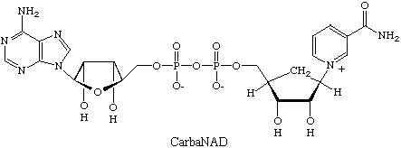 CarbNAD image