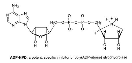 ADP-HPD image