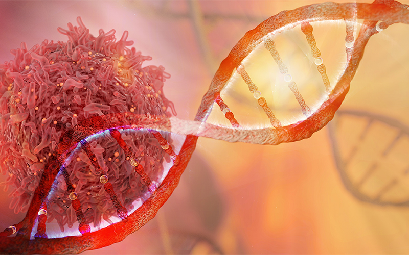 digitial illustration of the DNA structure 
