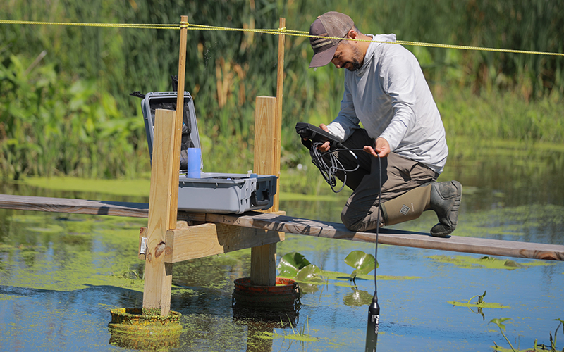Man kneeling on boardwalk over a pond uses device to collect data and measurements from the water
