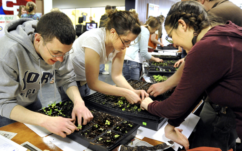 a group standing over a table adjust potted plants filled with soil and a sapling 