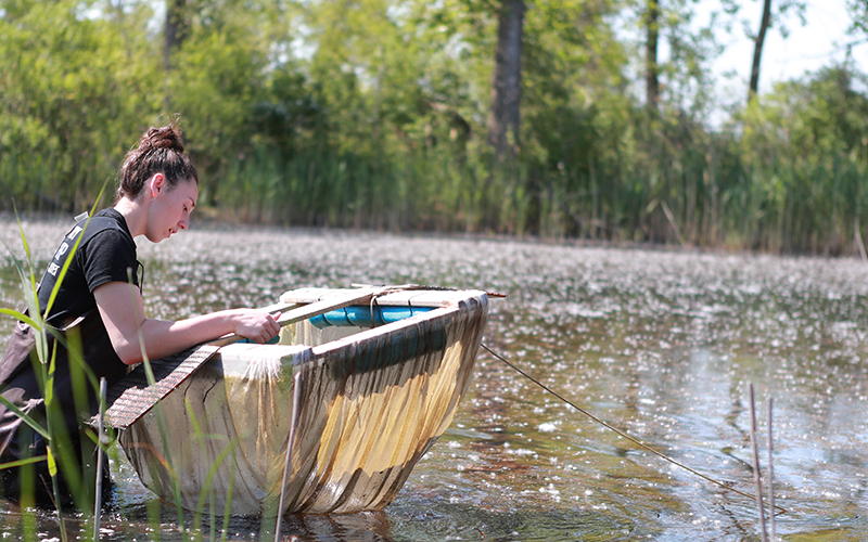 woman standing in a pond with water up to her waist holding a net object collecting things in the pond for study
