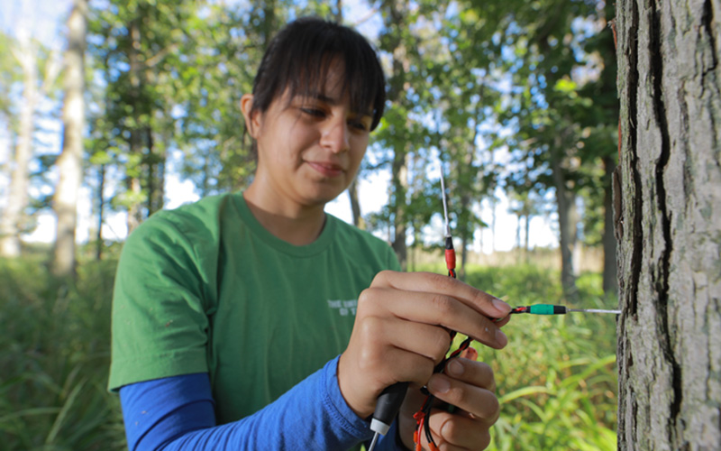 student standing outside in nature holds up two electrical cables to a tree