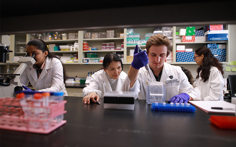 a group of reasearchers in a lab wearing white medical coats look into micrscopes and take measurments using various lab equipment