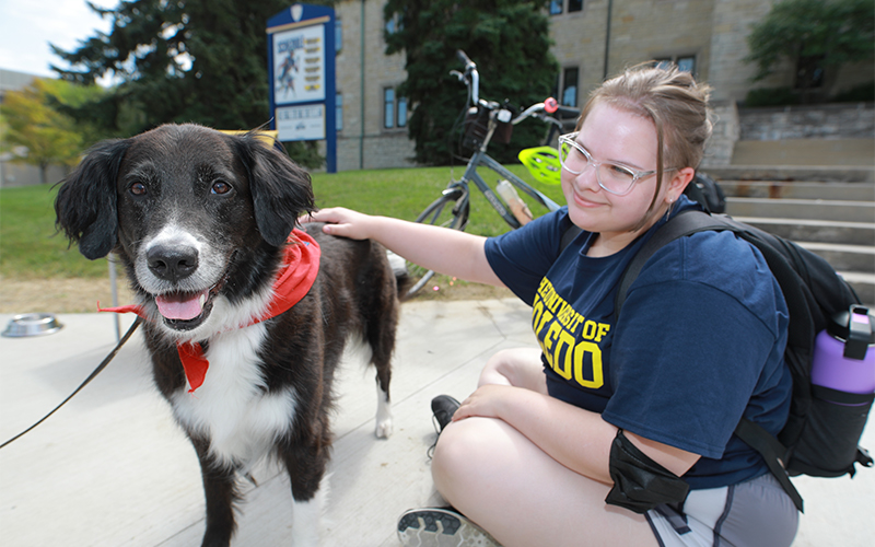 a student sitting outside the UToledo Student Union steps pets a dog 