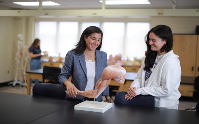professor holds a model displaying muscle anatomy