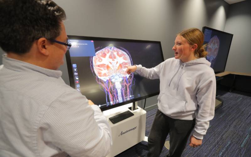 student and professor observe a virtual model of the human brain anatomy