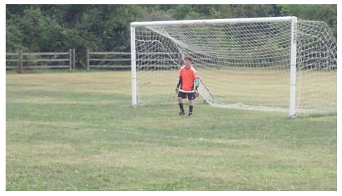 Soccer Field Michigan