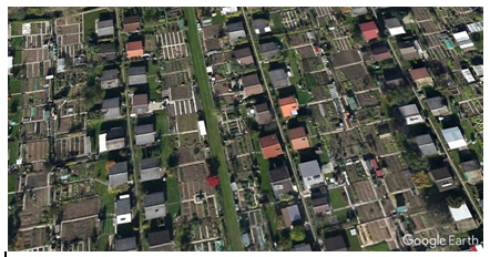 Community garden in Switzerland