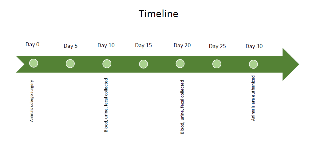 Image of the IACUC Experimental Timelines